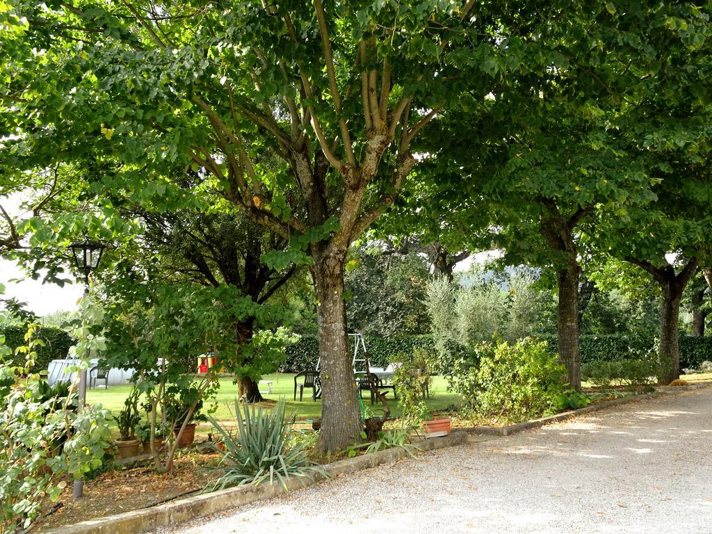Casa Dina Bed & Breakfast Terontola ภายนอก รูปภาพ